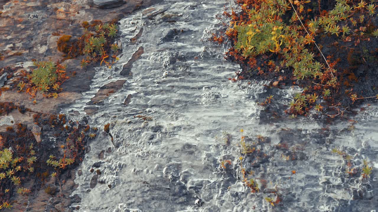 el agua derretida se filtra lentamente bajo la delgada capa de hielo en las piedras cubiertas de musgo