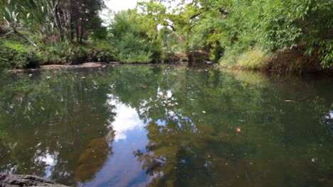 Agua-Y-Hojas-En-Movimiento-En-Un-Claro-En-Un-Río-En-Nueva-Zelanda