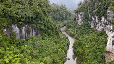 Outstanding-aerial-pull-back-of-river-canyon,-limestone-cliffs,-native-vegation-of-New-Zealand-nature