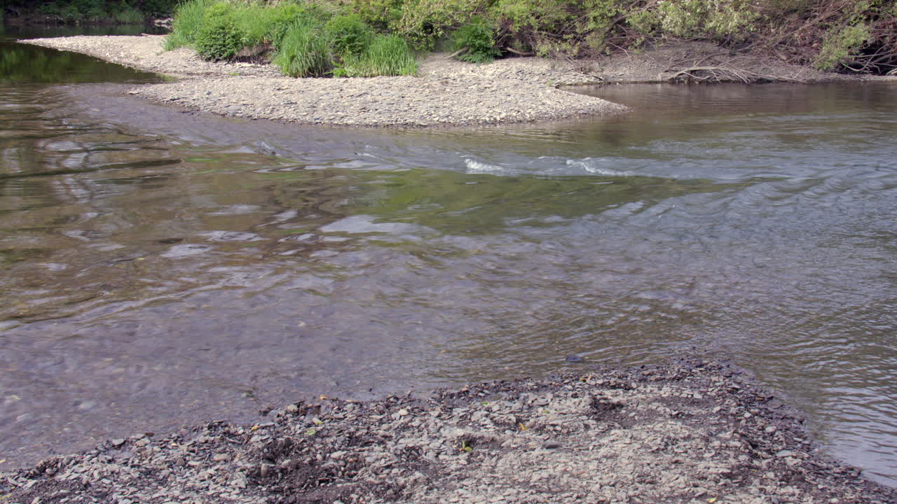 shot looking downstream of the river Teifi at Cenarth bridge at Cenarth Falls