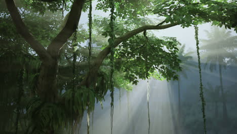sunbeams shining through a lush tropical rainforest
