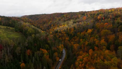 cars passing by surrounded by autumn coloured trees in new hampshire from an aerial view