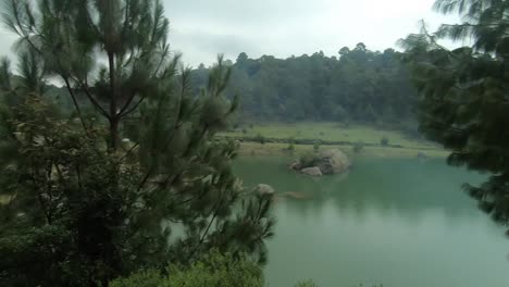 view of lake in a forest during a cloudy day