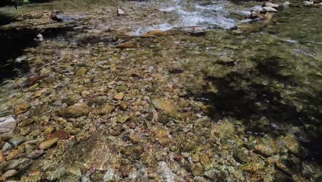 dolly shot of a river bed with water running gently through a tropical river with strong sunlight and a rocky river bed