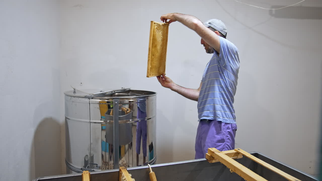 Raccolta del miele dai favi. Processo di estrazione del miele dai favi delle api.