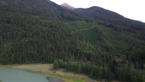 Aerial-Drone-Slow-Dolly-Shot-of-Pine-Trees-and-Snow-Capped-Mountain-Background-Canada-4K