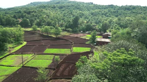 Campo-De-Cultivo-Vacío-En-Un-Bosque-Verde-Drone-Vista-Frontal-En-Movimiento-En-Konkan