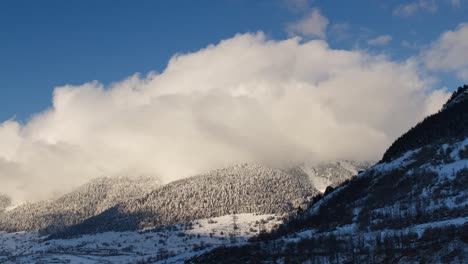 pyrenees 06