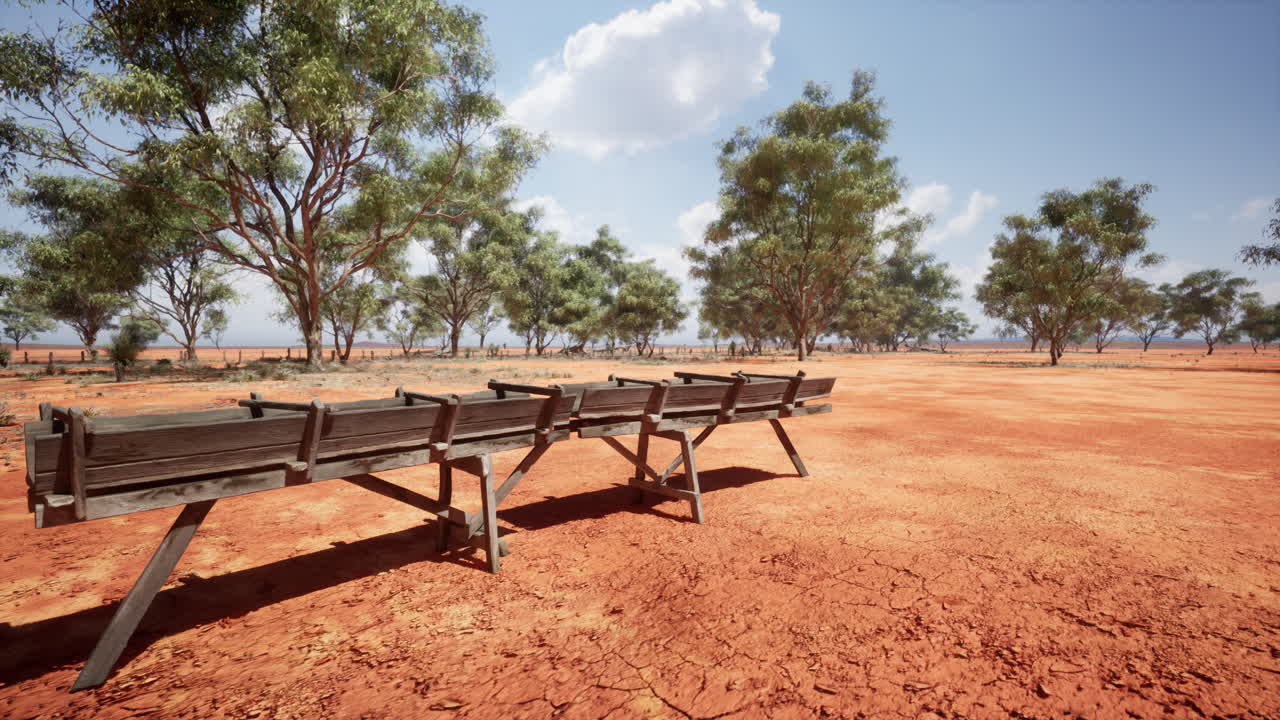 사바나 의 전통적 인 나무 수로