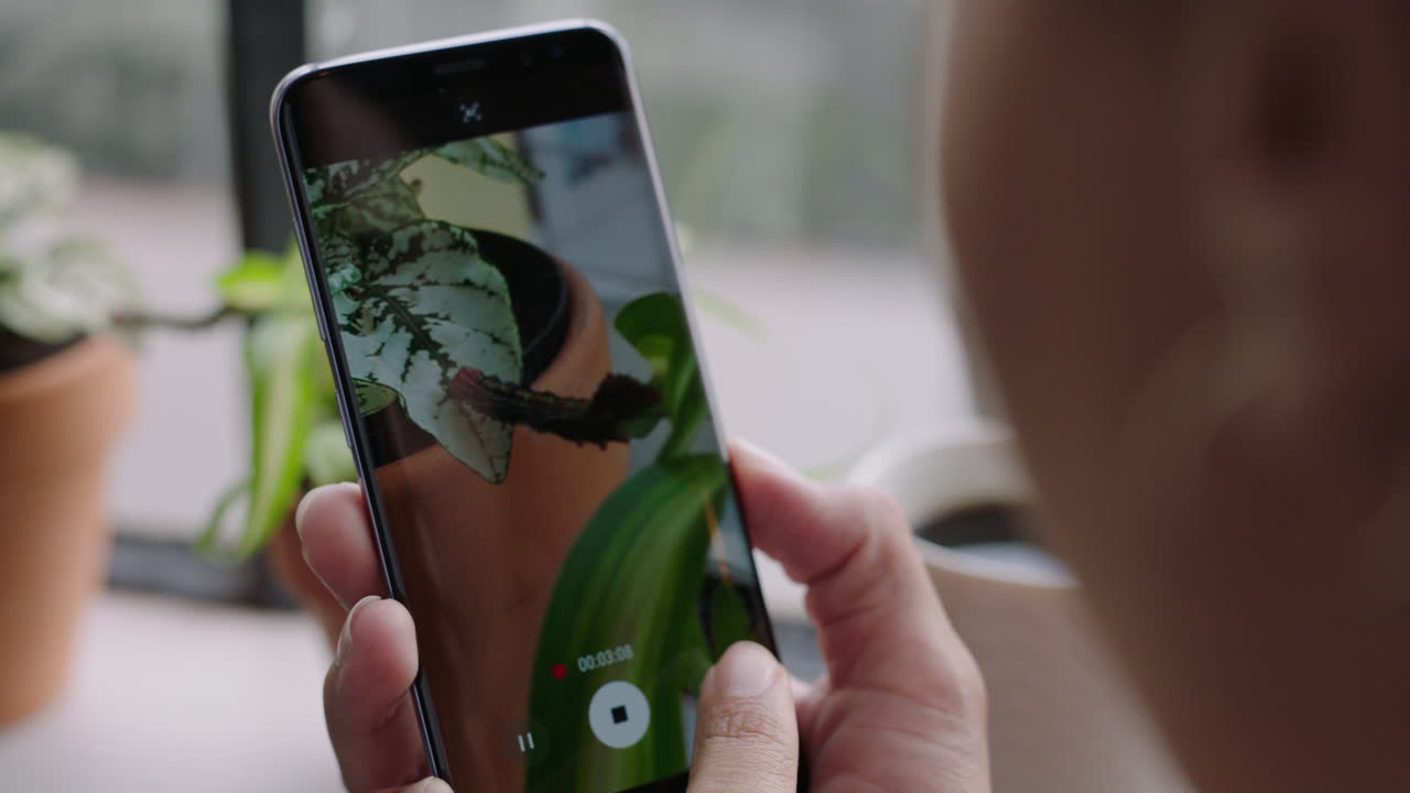 mujer usando un teléfono inteligente tomando una foto de una oruga que se arrastra comiendo plantas disfrutando de ver un hermoso gusano de insecto compartiendo en las redes sociales en una casa de apartamentos de cerca