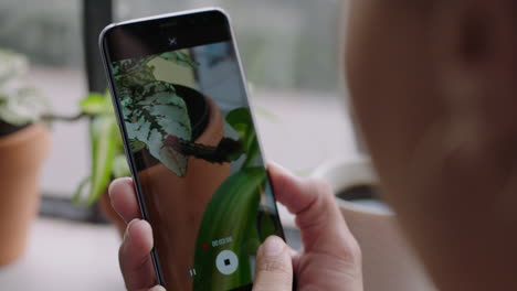 woman using smartphone taking photo of caterpillar crawling eating plant enjoying watching beautiful insect worm sharing on social media in apartment home close up