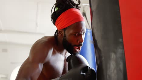 male boxer practicing boxing in fitness studio 4k