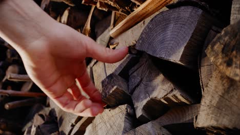 close-up of a hand pulling out a piece of wood out of a firewood stack