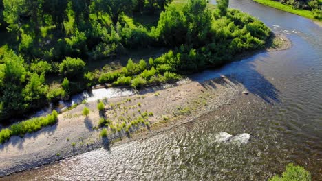 shallow river creek flowing though lush green colorado countryside foliage with sun flare shining