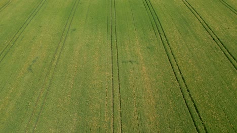 Vista-Aérea-De-Campos-Agrícolas-Ondulados-De-Granos-En-La-Región-De-Moravia-Del-Sur-De-La-República-Checa