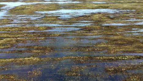 aerial field of grass is covered in water and mud