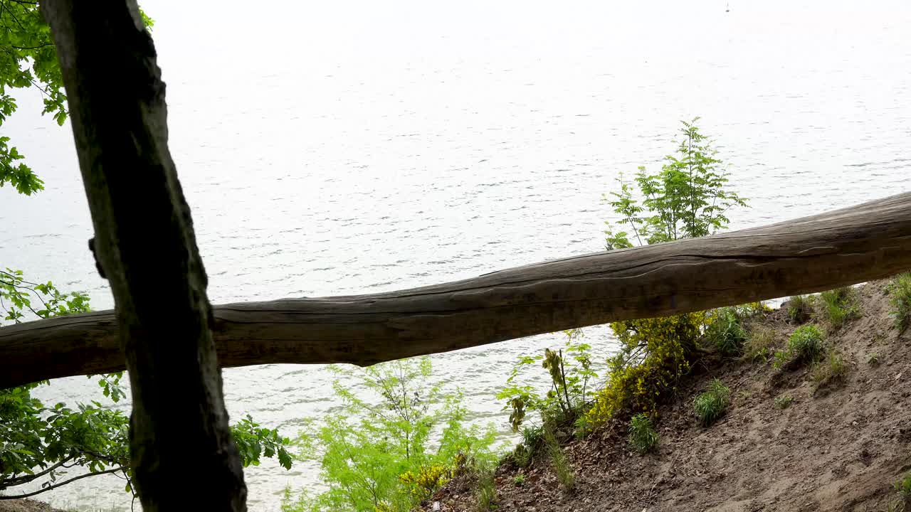 4k clif. hermosa vista del horizonte costero