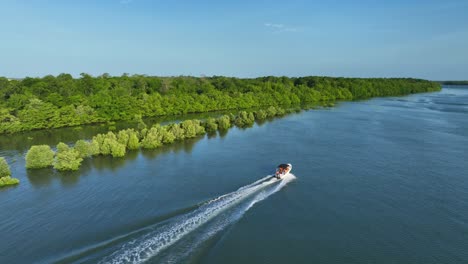 motorboats through dense mangroves in parnaíba river delta near araioses in maranhao, brazil. aerial drone shot