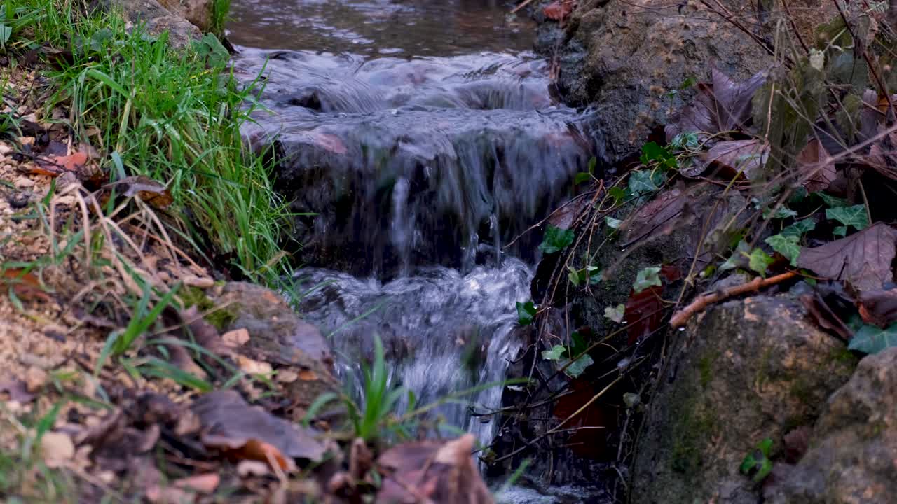 Scenic view of small, idyllic cascading stream flowing through outdoor wilderness of woodland forest in English countryside