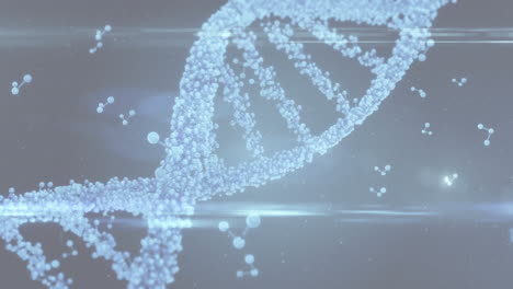 animación de una cadena de adn 3d giratoria, con luces y estructuras moleculares flotantes, en gris
