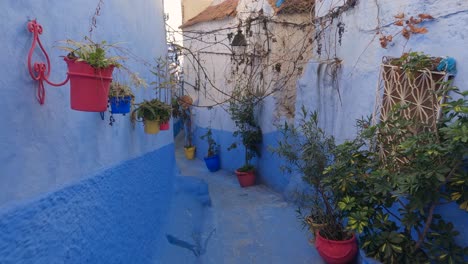 pov looking along iconic blue streets in chefchaouen with hanging flower pots