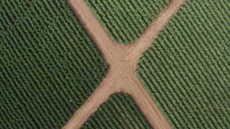 aerial view of farm off the coast off of high way 1 in northern california