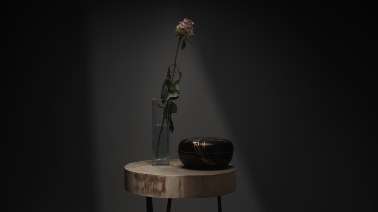 A single rose withers in a vase timelapse