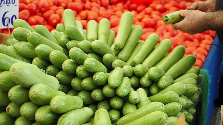 Person Selecting Fresh Zucchini at a Local Farmers Market