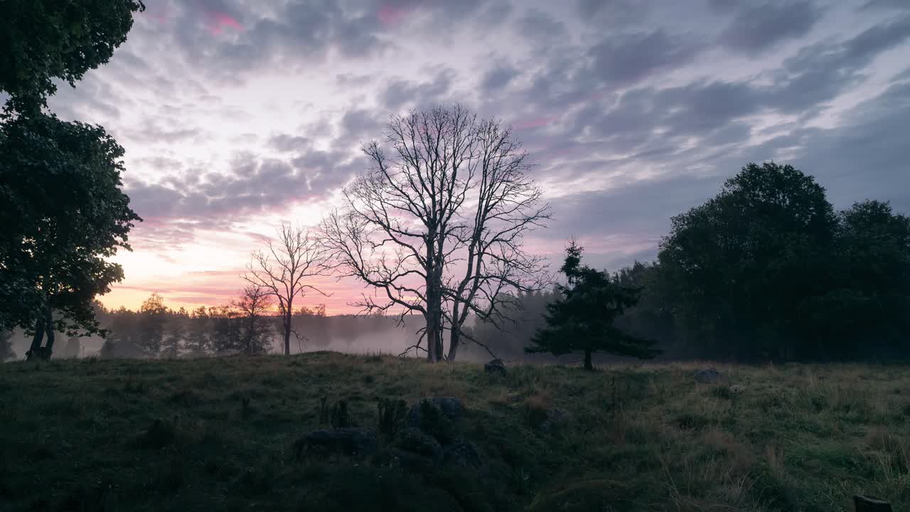 timelapse del amanecer en un prado con niebla