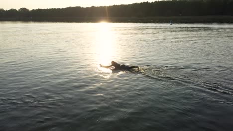 surfer is paddling on surfboard in sunset