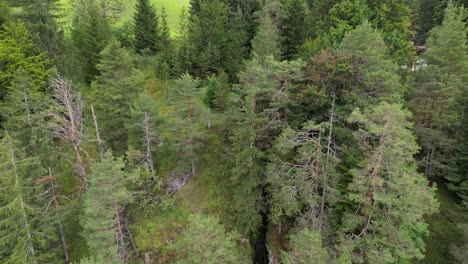 Reveal-aerial-drone-shot-of-waterfall-Almach-gorge-Bavarian-Alps-Germany