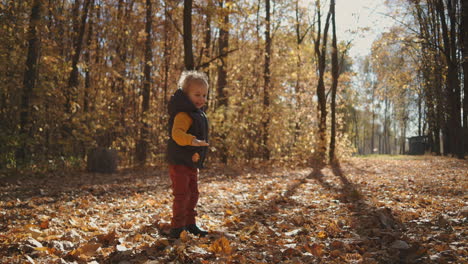 boy alone stands in autumn park on yellow fallen leaves and hands trying to catch a leafy autumn in slow motion. high quality 4k footage