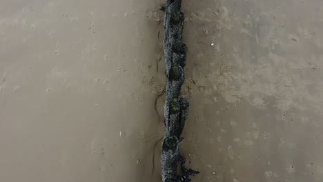 wooden poles on the beach seen from above with a drone