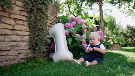 adorable little blond baby boy sitting peacefully on the green grass near the blossoming bush. balloon of number one shape is beside the kid.
