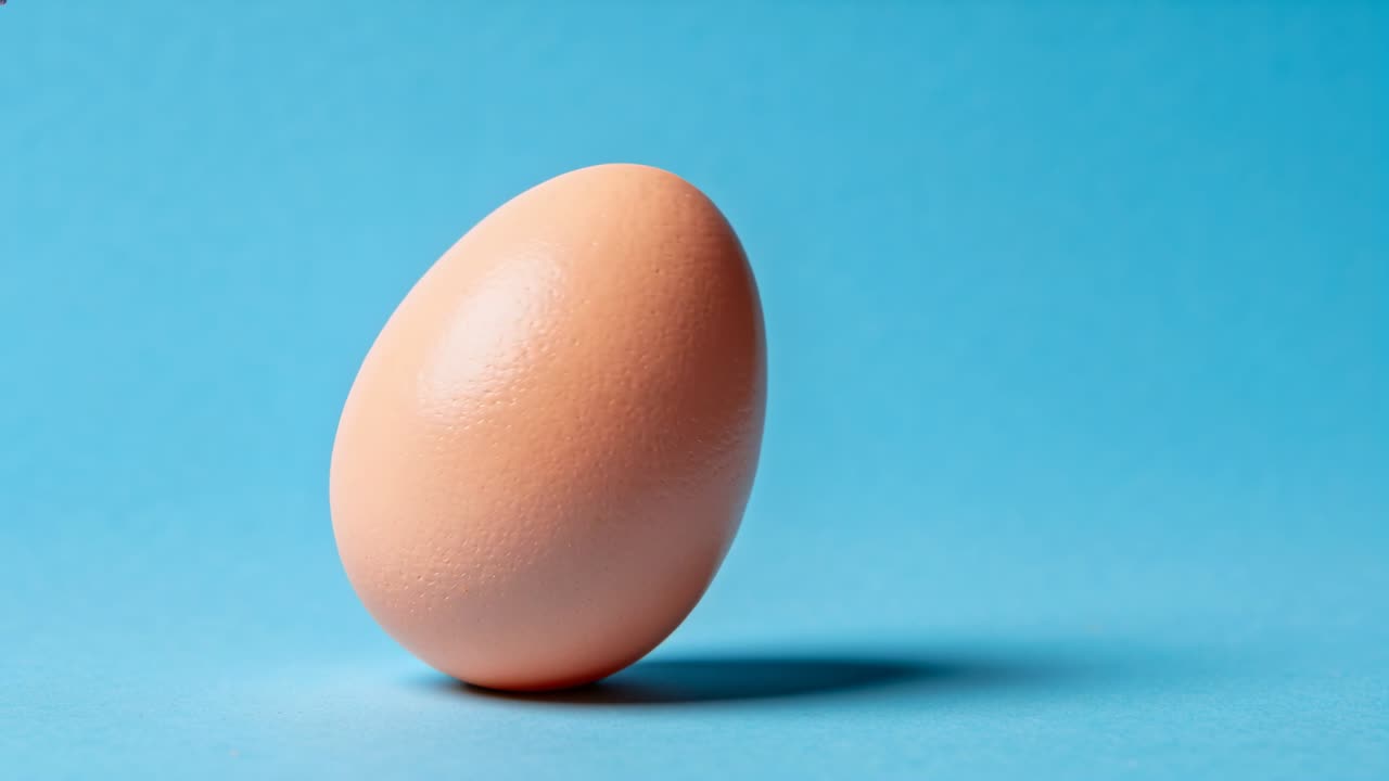 Losing balance brown egg tipping, rolling on blue studio surface to settle with soft shadow