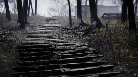 pripyat cityview of exclusion zone near the chernobyl nuclear power plant