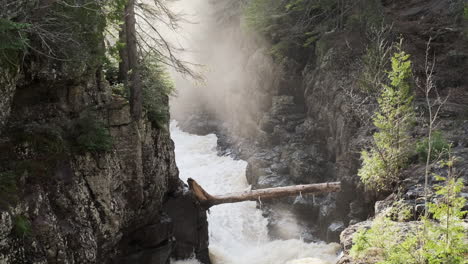 fallen tree over rushing canyon river with misty sunbeams