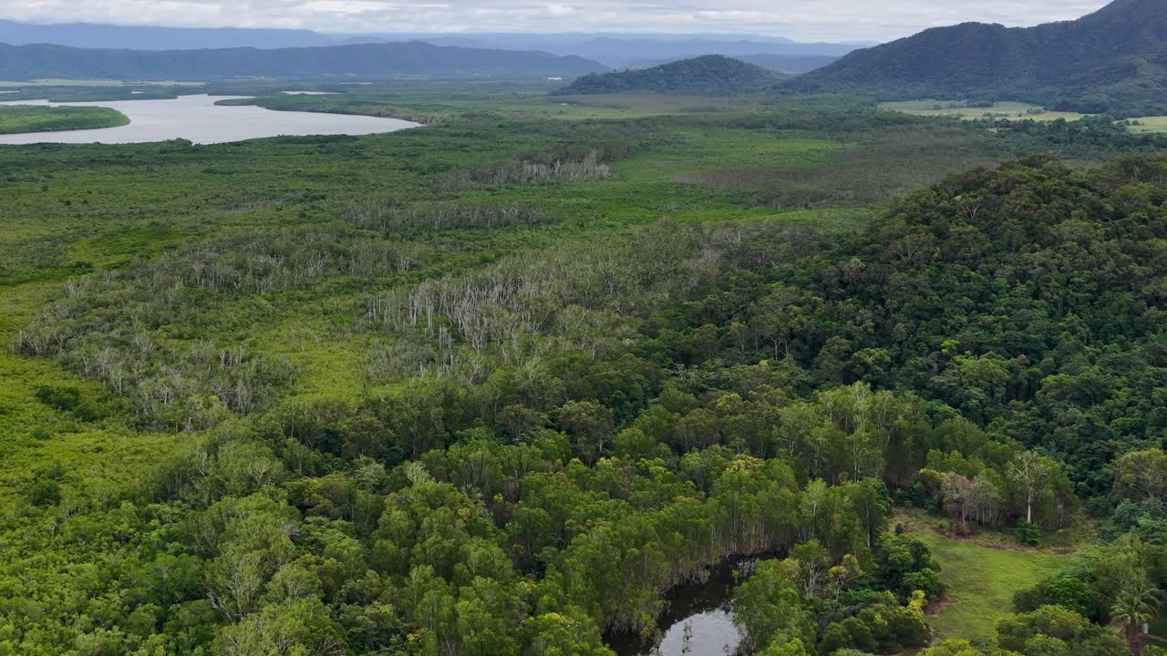 Drone glides above lush Daintree Rainforest, revealing dense jungle, winding river, sandy coastline, and distant mountains under overcast daylight