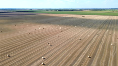 this video captures a stunning aerial perspective of a vast harvested field, showcasing numerous hay bales across the landscape. the view highlights the expansive agricultural land after harvest