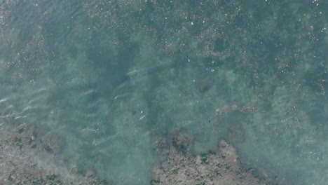 Top-down-descending-drone-shot-of-polluted-water-filled-with-plastic-trash-and-dead-coral-reef-in-the-turqouise-tropical-water-of-Balangan-Beach-Uluwatu-Bali-Indonesia