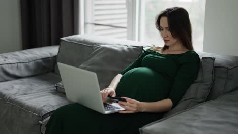 Mujer-Embarazada-Que-Usa-Tarjeta-De-Crédito-Para-Comprar-En-Línea-En-Casa