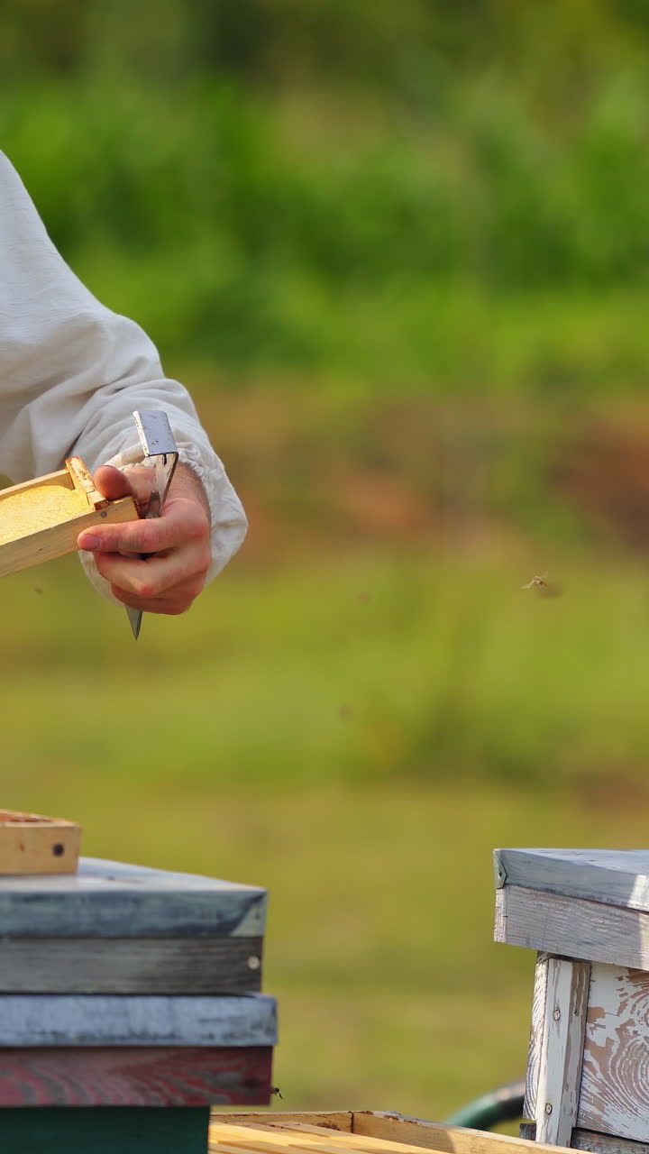 Male beekeeper over hives background. Man builds new hive Protective hat on a male`s head. Blurred background. Honey and bees concept. Vertical video