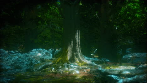 tree roots and sunshine in a green forest