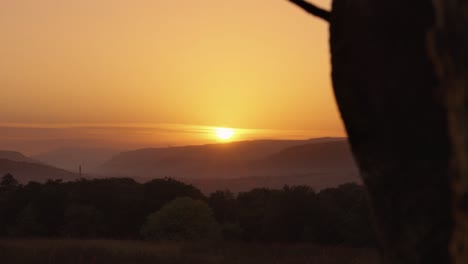 sunrise view over hazy welsh valley with mountain background and tree in foreground