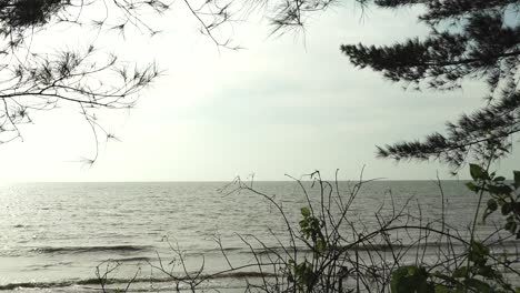 beautiful summer view at kabong beach,white sandy beach,blue sky,sea and green trees.