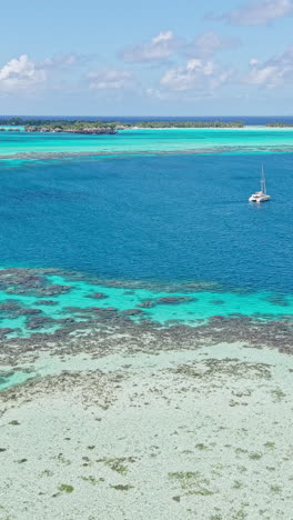 bora bora island lagoon. french polynesia. vertical drone shot of coral reefs and ocean water in shades of blue