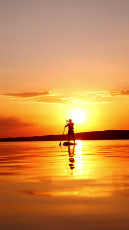 amazing sunset on the calm river in summer with man practicing sup boarding. doing paddle board sport in the nature. low angle view. vertical video.