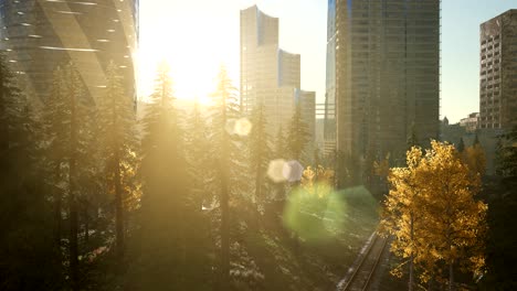 skyscrapes and the forest park at sunrise