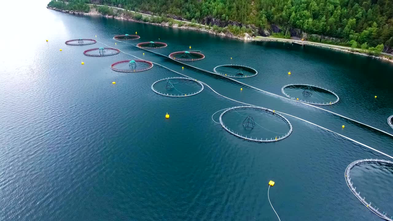 노르웨이에서 연어  ⁇ 시를 하는 공중 촬영