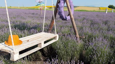 Orange-hat-and-butterfly-on-pallet-swing-in-lavender-field